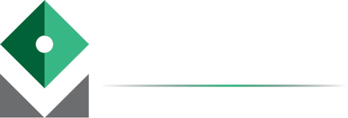 Vincon SAS Retina Logo