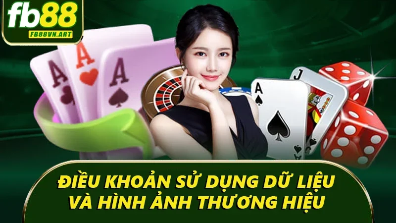 Điều khoản sử dụng dữ liệu và hình ảnh thương hiệu