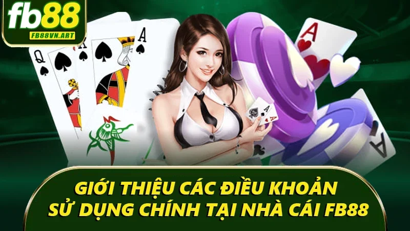 Giới thiệu các điều khoản sử dụng chính tại nhà cái FB88