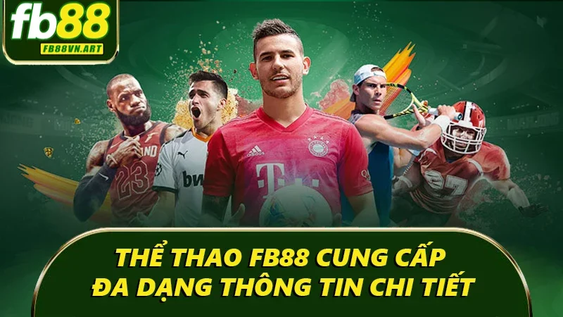 Cung cấp đa dạng thể loại thông tin chi tiết